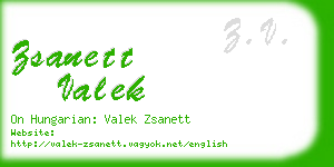 zsanett valek business card